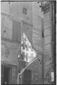 Siena, bandiera della Contrada della Selva