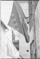 Siena, bandiera della Contrada della Tartuca