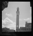 Siena, veduta di palazzo Pubblico