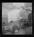 Tarquinia