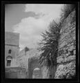 Tarquinia