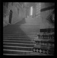 Siena, scale del battistero di San Giovanni