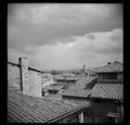 Siena, veduta della città