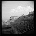 Siena, tetti