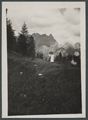 Pieve di Cadore, scampagnata al monte Tranego