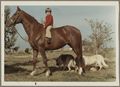 Ritratto di Alessandro La Greca bambino a cavallo