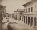 Siena, viale Curtatone