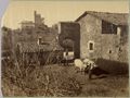 Monteriggioni, castello della Chiocciola