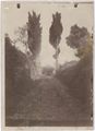 Strada di campagna