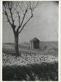 Paesaggio della campagna senese