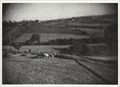 Paesaggio di campagna