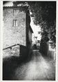Siena, veduta di una strada di campagna