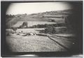 Paesaggio di campagna