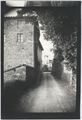 Strada di campagna