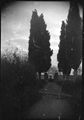 Strada di campagna
