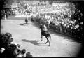 Siena, il Palio