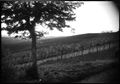 Paesaggio di campagna
