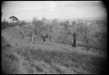 Paesaggio di campagna