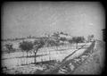 Paesaggio di campagna con neve