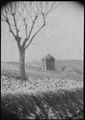 Paesaggio della campagna senese