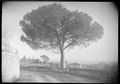 Paesaggio di campagna