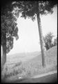 Paesaggio  di campagna