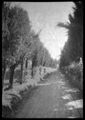 Paesaggio di campagna 