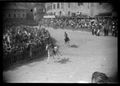 Siena, il Palio
