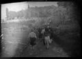 Dintorni di Siena, processione religiosa