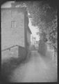 Strada di campagna