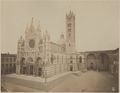 Siena, il duomo
