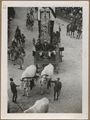 Siena, carroccio con musici per il Palio del 16 agosto 1948