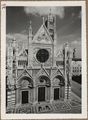 Siena, il duomo