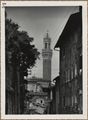 Siena, veduta della torre del Mangia