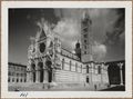 Siena, il duomo

