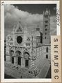 Siena, il duomo
