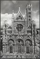 Siena, il duomo
