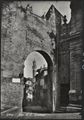 Siena, veduta della torre del Mangia