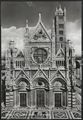 Siena, il duomo
