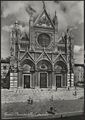 Siena, il duomo
