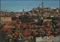 Siena, veduta della città