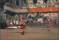 Siena, alfieri e tamburino dell'Imperiale Contrada della Giraffa