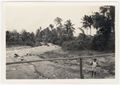 Sumatra, veduta di un paesaggio