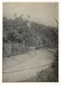 Bali, veduta di una valle con un corso d'acqua