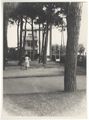 Giardino con giochi
