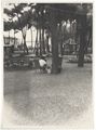 Giardino con giochi