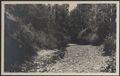 Sestano, fiume Ombrone