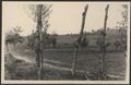 Sestano, campo e vigna Santa Teresa