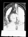 Sodoma, dipinto del 'Cristo alla Colonna' 