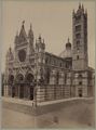 Siena, il duomo
